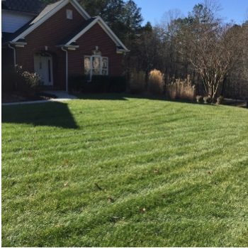 large manicured front lawn showing affordable lawn care in Chattanooga