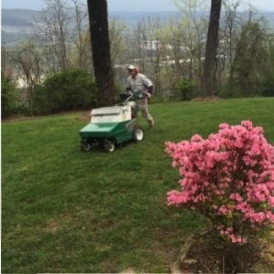 lawn seeding a Chattanooga lawn