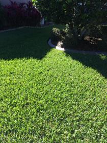 A recent lawn care service job in the area showing lawn treatments in Chattanooga