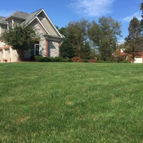 A recent lawn seeding services job showing lawn aeration in Chattanooga