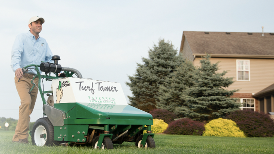 Lawn Seeding