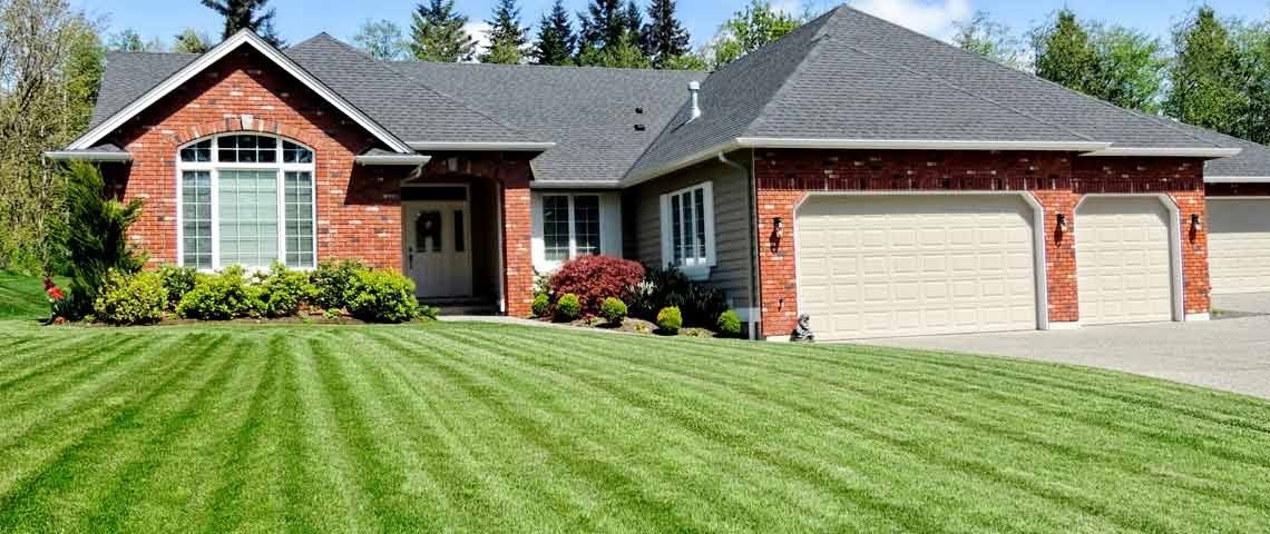 lawn after Pre-emergent and Post-emergent treatment in Clarksville, TN