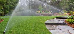 Beautiful Green Grass Lawn, green grass Winter Garden