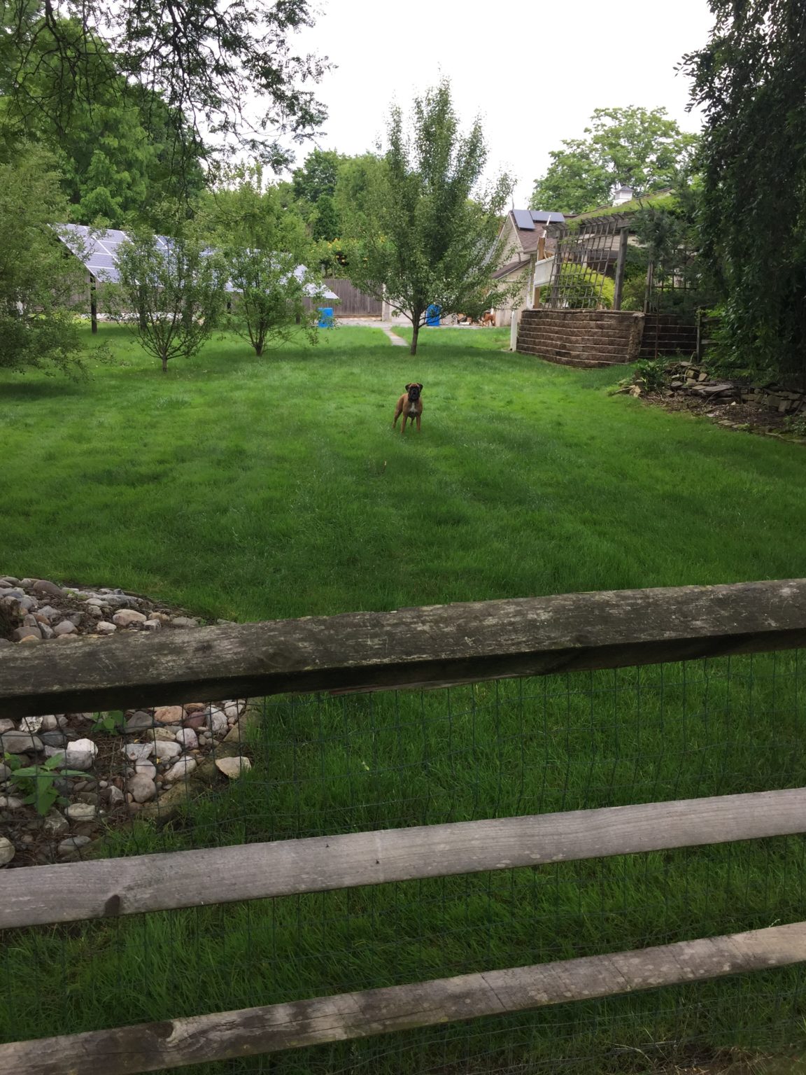 Choosing To Have the Lawn Doctor Difference CollegevilleUpper