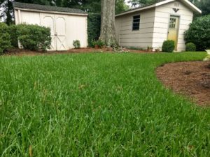 lawn care company in Lexington