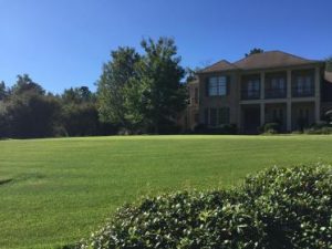 house with beautiful green lawn cared for by lawn care in Columbus