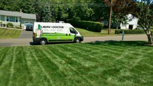 green grass with lawn doctor truck in background showing lawn treatment in Danbury