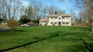 Beautiful lawn after lawn care services in Danbury