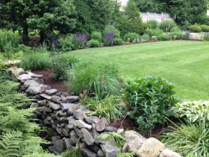 green landscaping and lawn services in Danbury