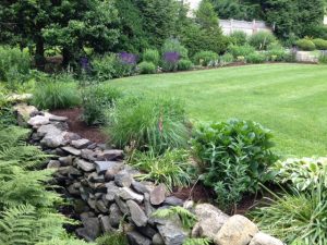 Professional lawn care service in Danbury