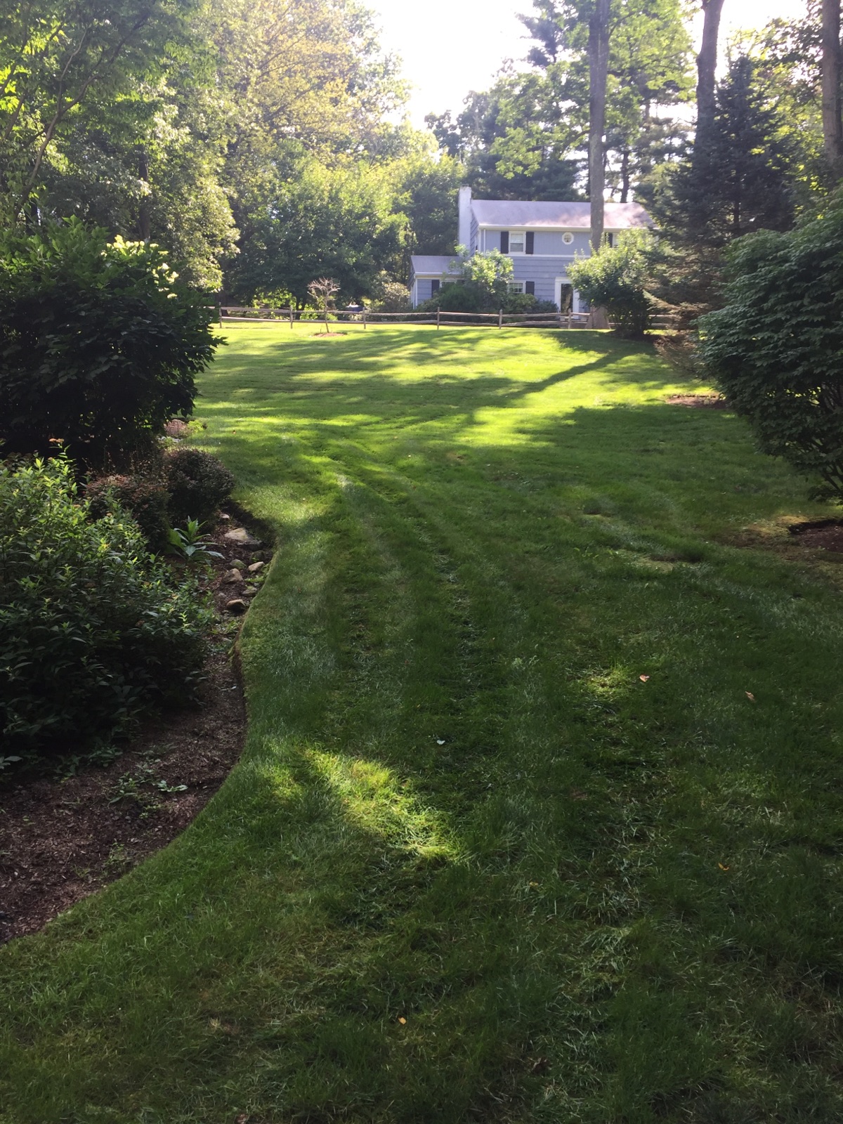 Beautiful back yard showing fall lawn care in Danbury