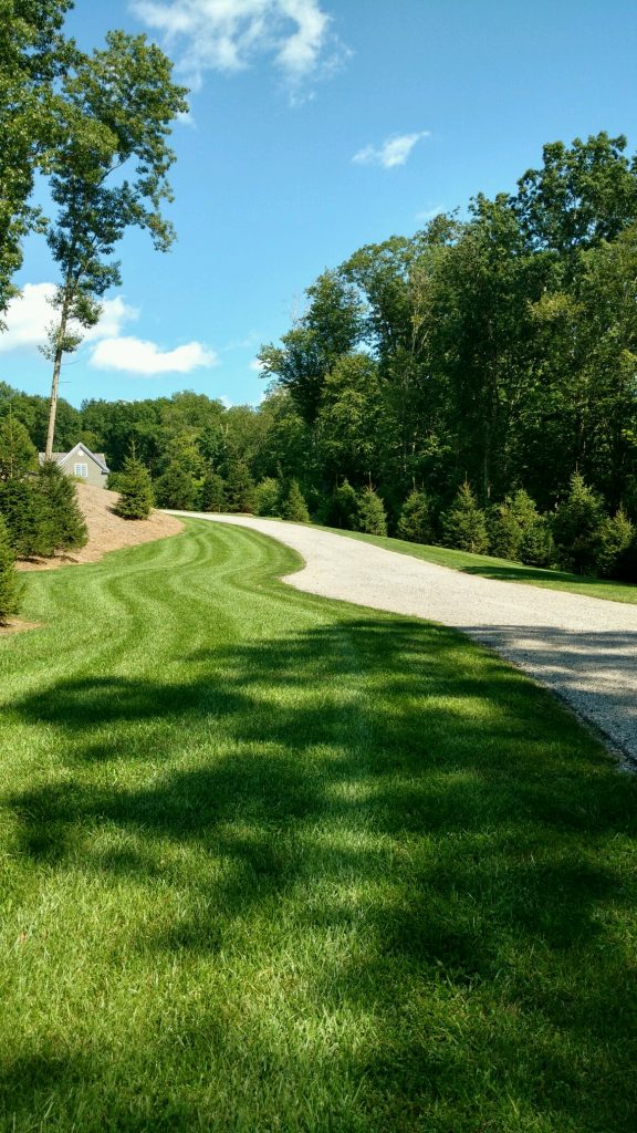 Long driveway with freshly manicured lawn flanking showing lawn weed control in Danbury