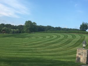 Large yard with mowing tracks showing lawn care services in Danbury