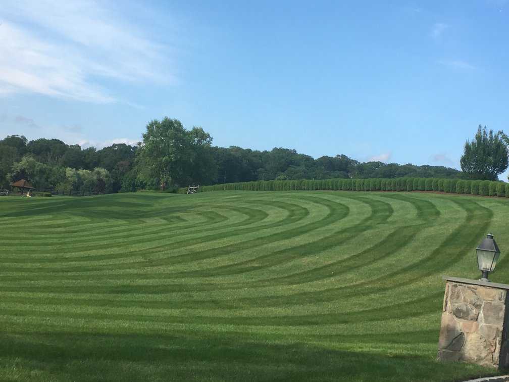 Large front yard with mowed stripes showing professional lawn care in Danbury