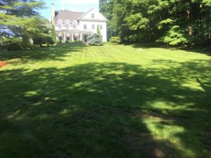 weed control service Danbury