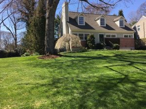 Green yard in front of large house in lawn care in Danbury