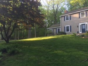 A healthy, lush lawn thanks to our yard care service in Danbury