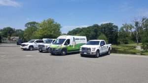 Mosquito Control in Branford