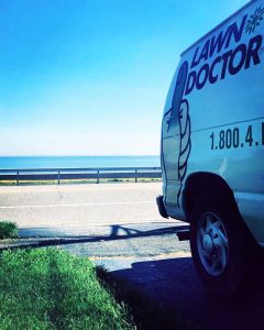 Mosquito Control in Old Saybrook