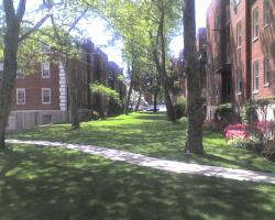 sidewalk through pretty lawn