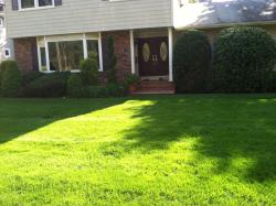 Green grass in the front yard showing lawn care services in Long Island