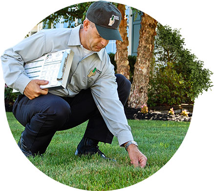 Lawn Doctor expert with clipboard stoops down to check for weeds that need lawn weed control 