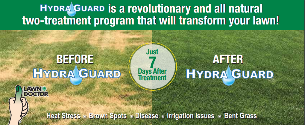before and after hydra guard lawn program