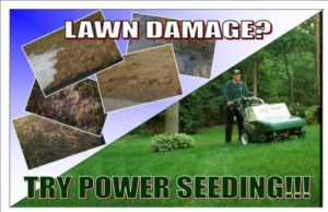 Lawn Care Service in Holladay
