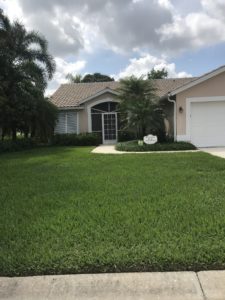 Local Lawn Care Service in East Sarasota