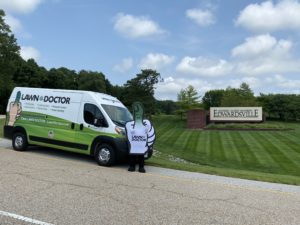 Pest Treatment in Edwardsville