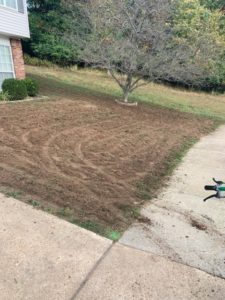 lawn seeding before