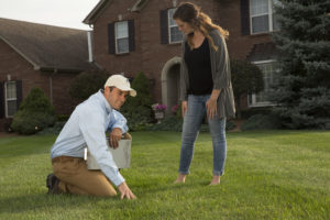 lawn expert examining grass after providing Lawn Aeration in Findlay