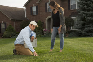 lawn expert examining grass after providing Lawn Fertilization in Findlay