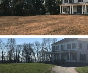 examples of before after power seeding in Carroll County