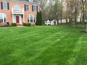 beautiful green lawn in front of house showing lawn aeration in Carroll County