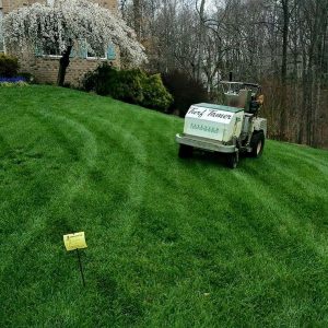 green grass treated by lawn care services in Carroll County