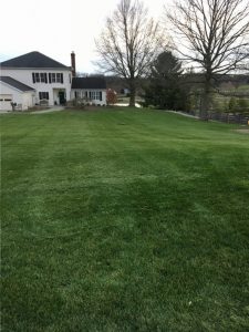 green lawn cared for by lawn care services showing weed control in Carroll County