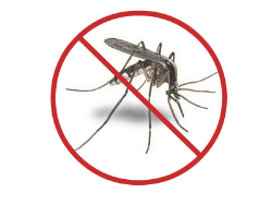 Mosquito Control in Westminster