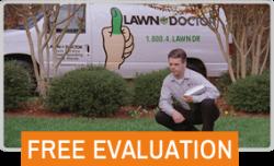 Lawn Service in Severance