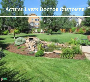 grass landscaped by lawn doctor ft. collins