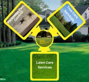our lawn care services