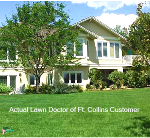 home with landscaping by lawn doctor ft. collins