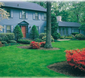 house with shrubs and rock beds