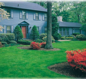 green lawn treated by our professional lawn care Fort Collins team 