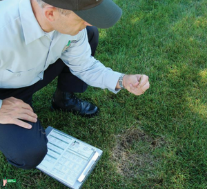 technician providing lawn evaluations