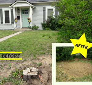 lawn tree removal & pruning before after