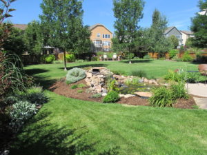 green landscaping in Fort Collins