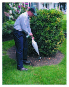 employee performing tree and shrub care