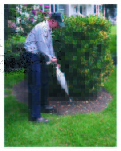 employee performing tree and shrub care