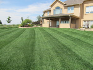 Large house with a beautifully manicured front lawn showing our lawn care services.